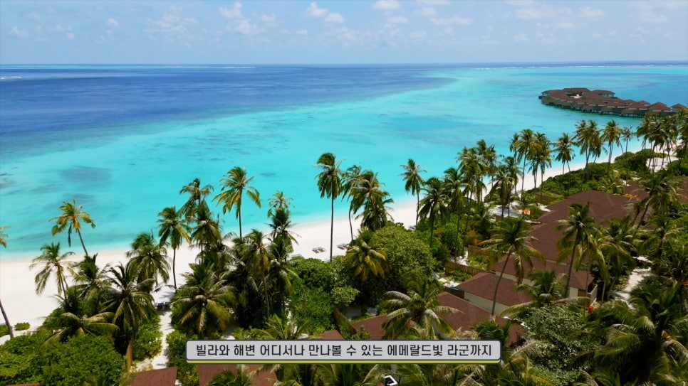 파레스식당 이미지