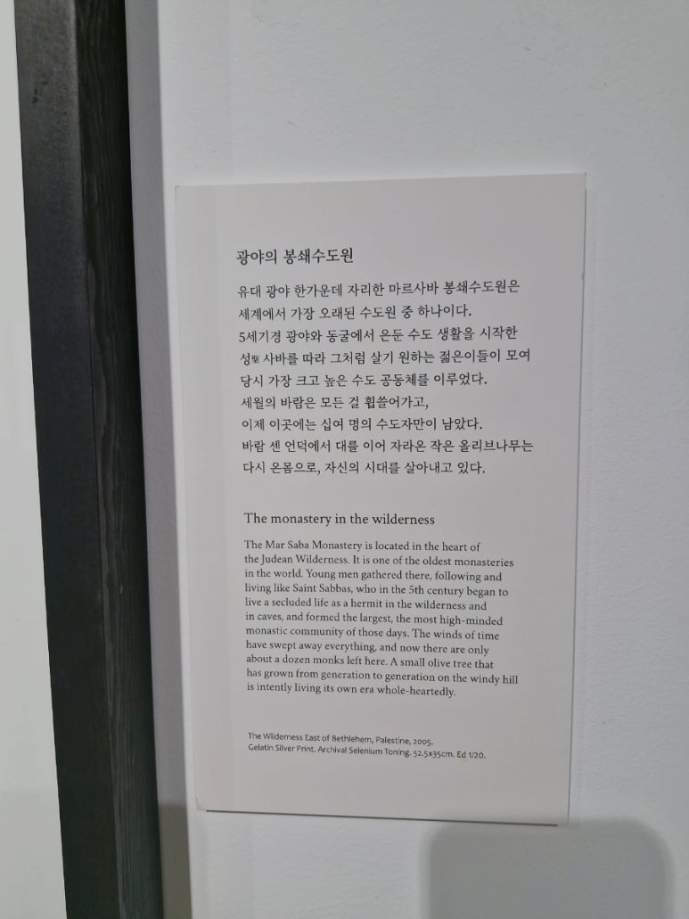 카페 올리브나무 이미지