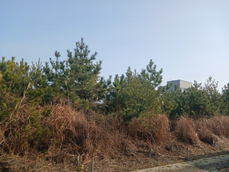 주와(JUWA) 이미지