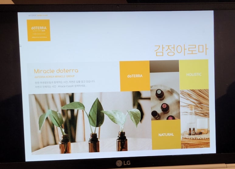 도테라오일 이미지