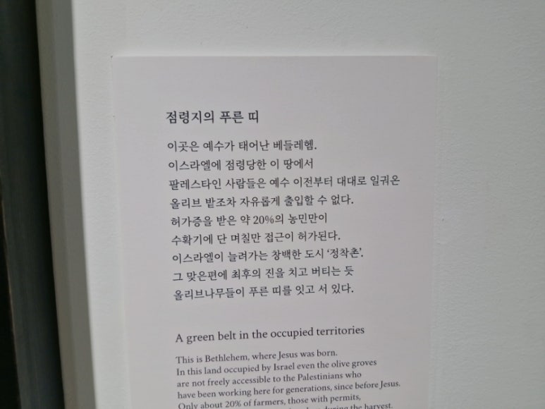 카페 올리브나무 이미지