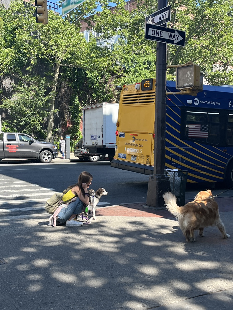 웨스트 빌리지 West Village 이미지