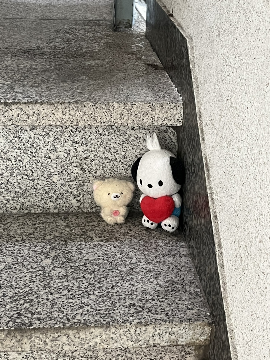 사랑방다실 이미지