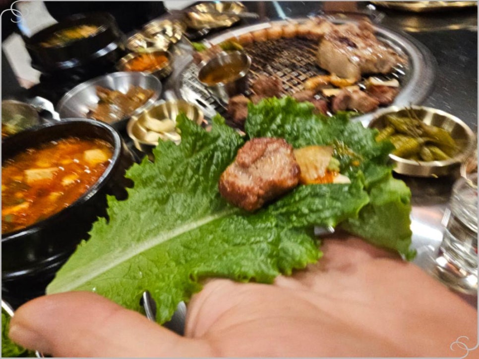 돼지형제 이미지