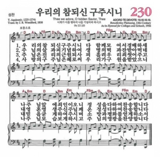 구주 이미지