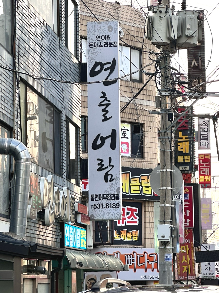 연출어람 이미지