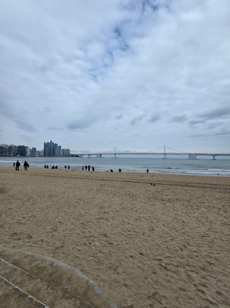 유동커피 광안해변로165 이미지