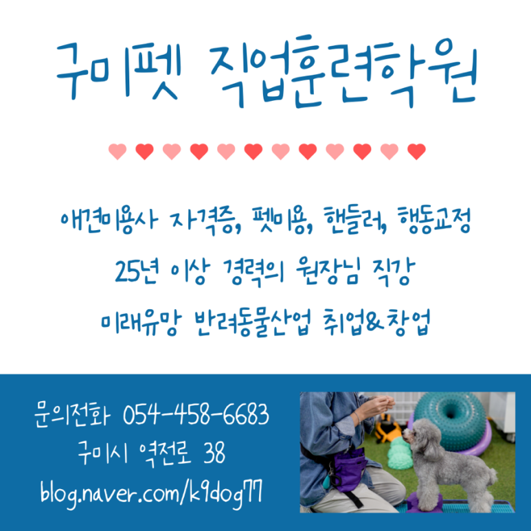 구미정통닭 이미지