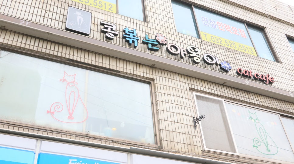 콩볶는야옹이 이미지