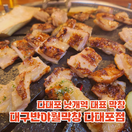대구반야월막창다대포점 이미지