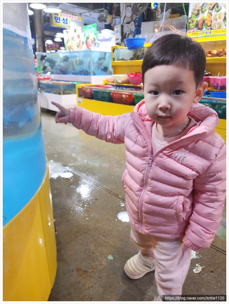 궁평항3호 이미지