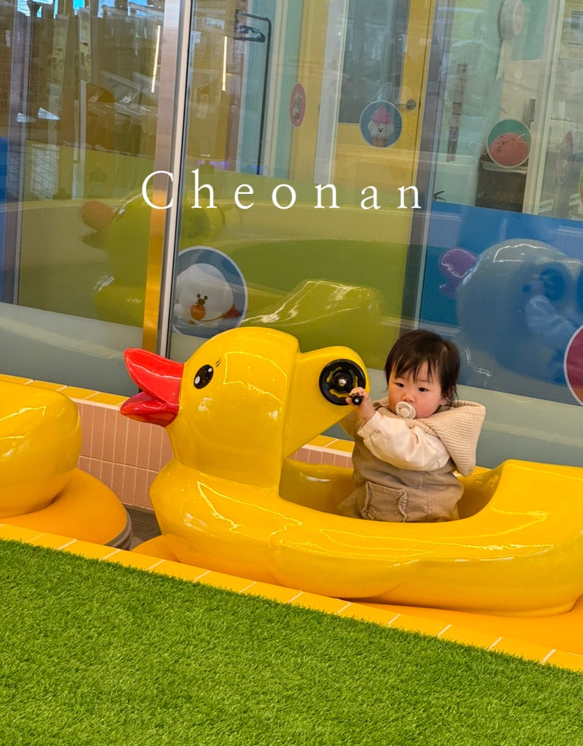 테테루 드림랜드 이미지