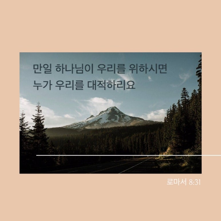 하리요8 이미지