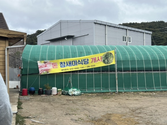 돈참새미 이미지