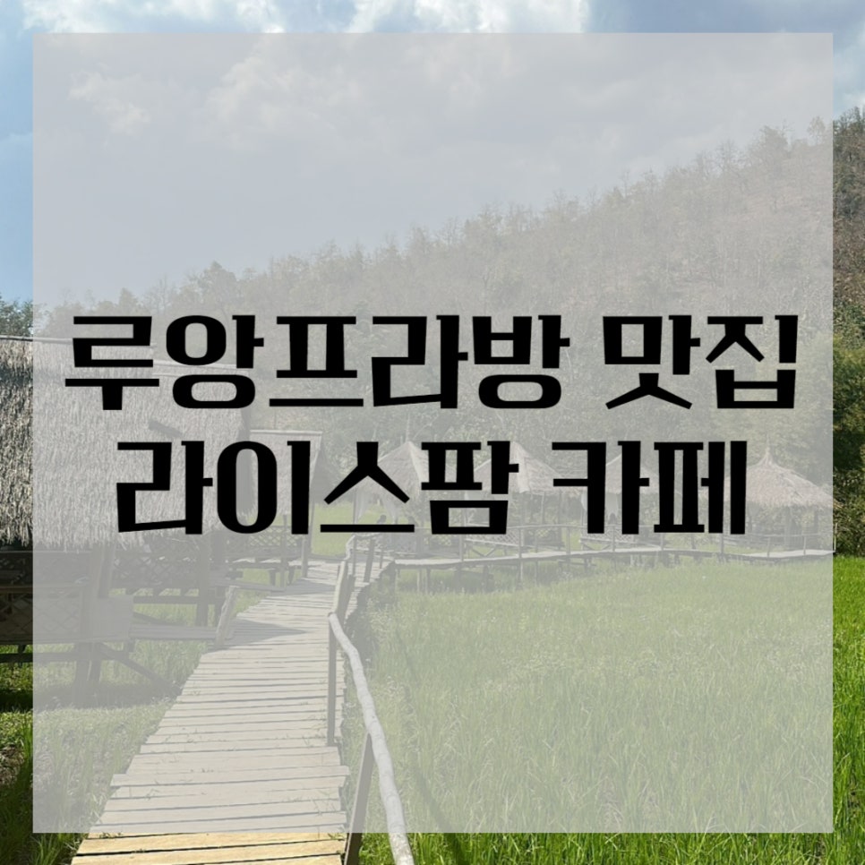 라이스팜 이미지