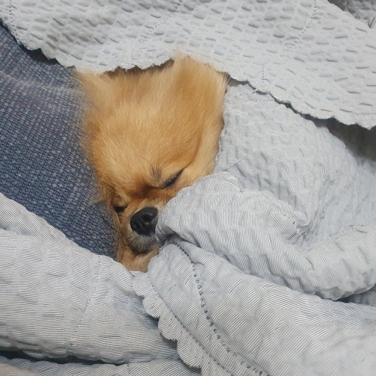 찬*이* 이미지