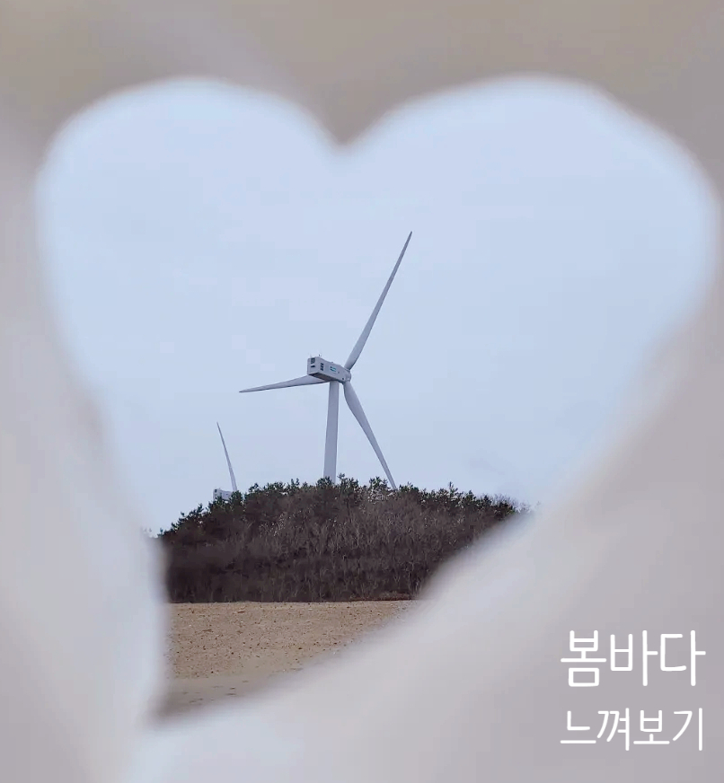 뮤지엄비치캠프 이미지