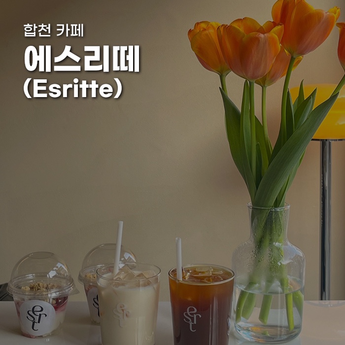 에스리떼 이미지