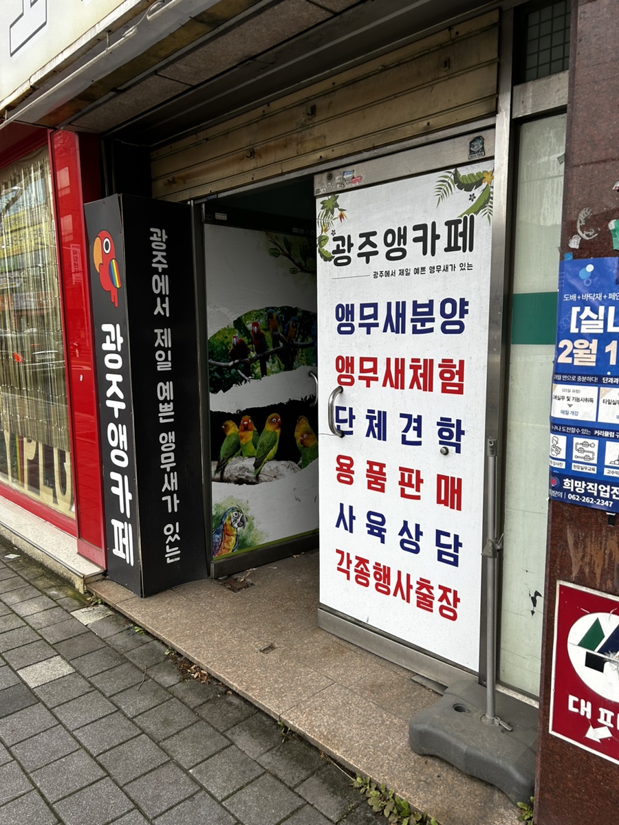 광주앵카페 이미지