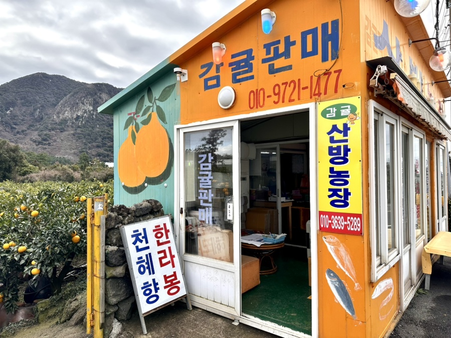 산방농장 이미지