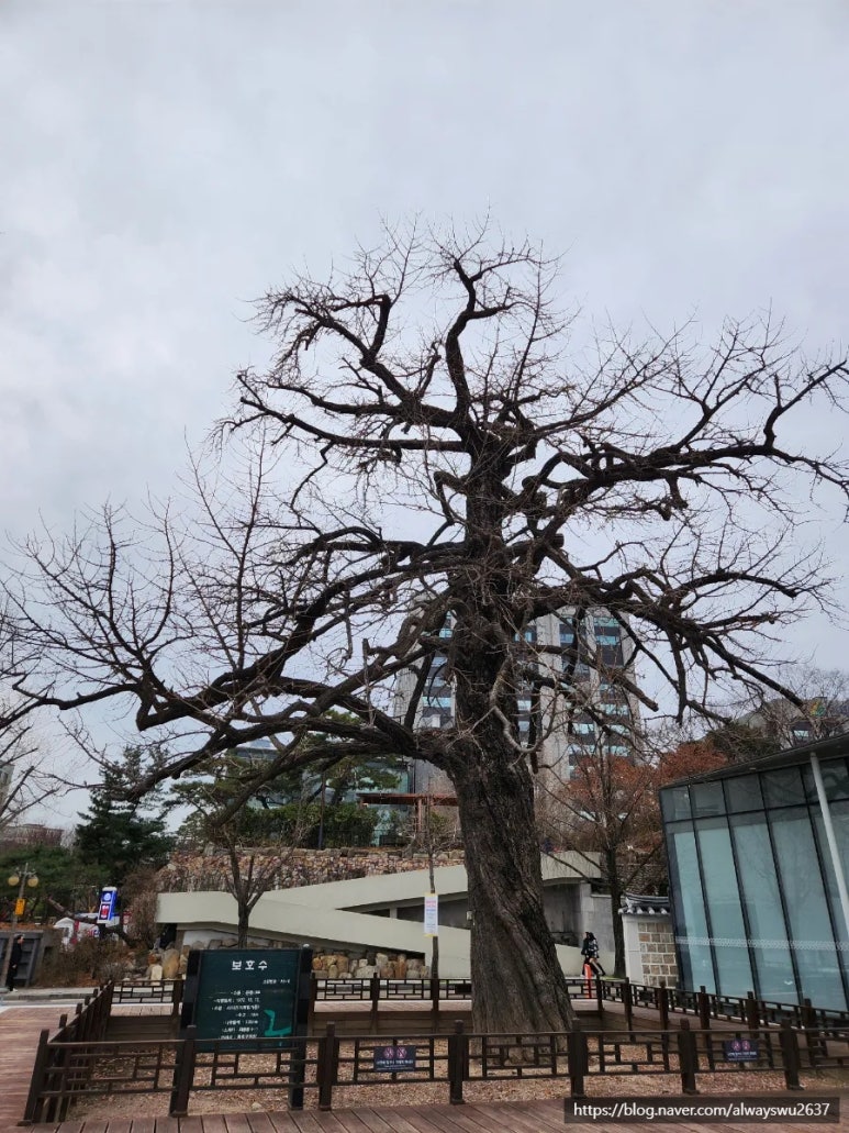 보쌈천하 이미지