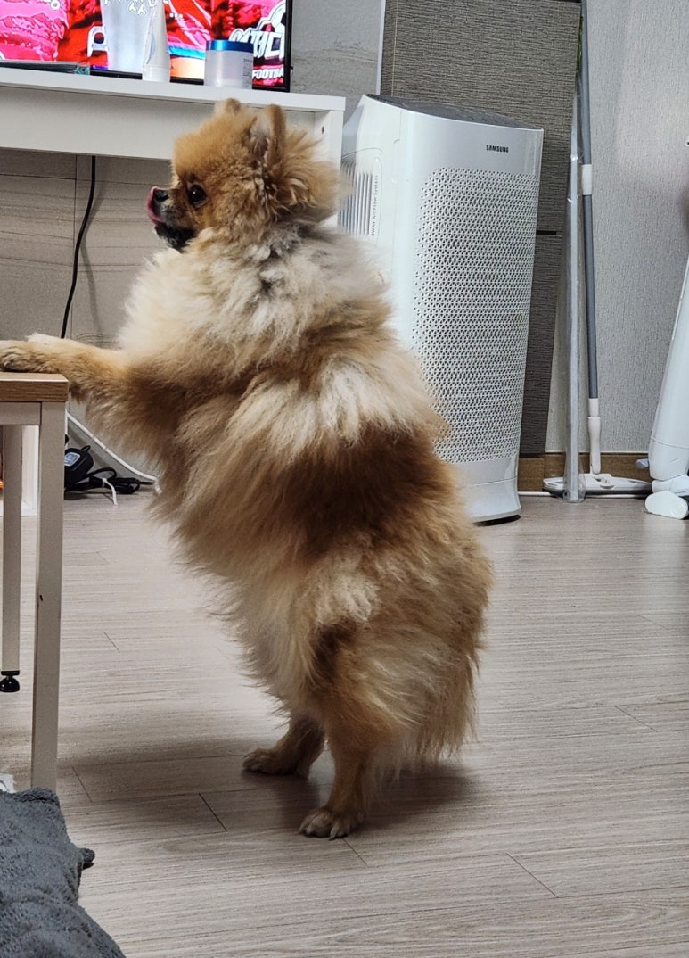 찬*이* 이미지
