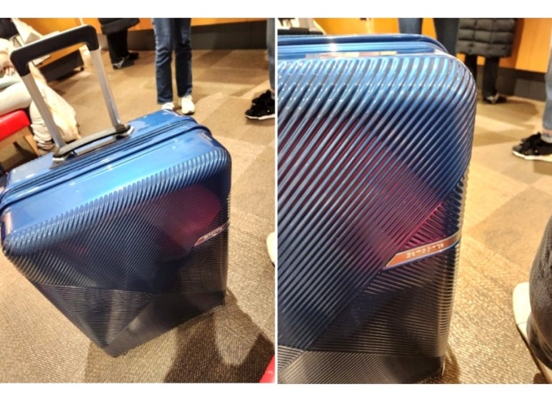 스터디셀럽 이미지