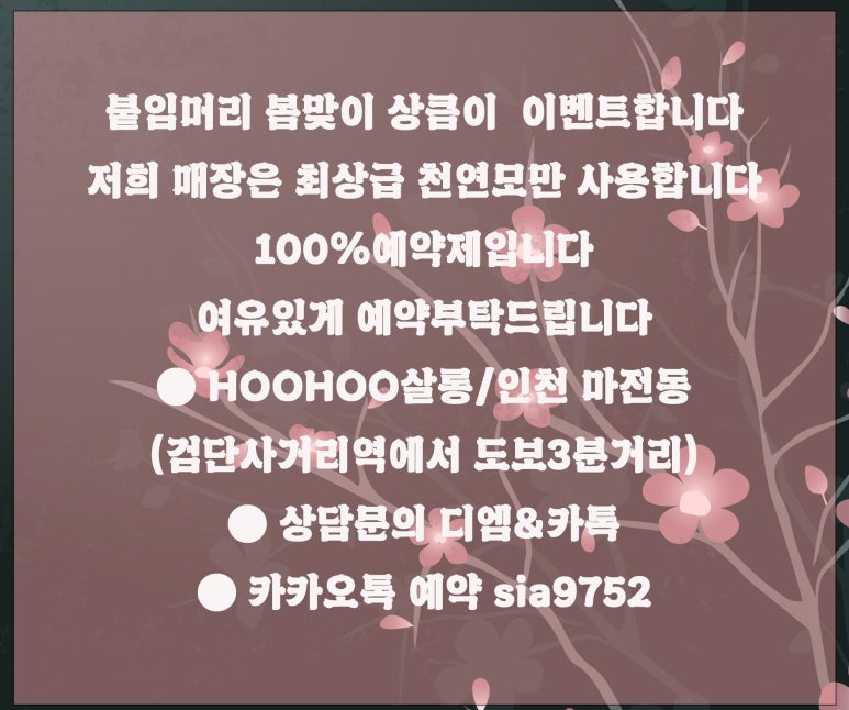 HOOHOO살롱 이미지