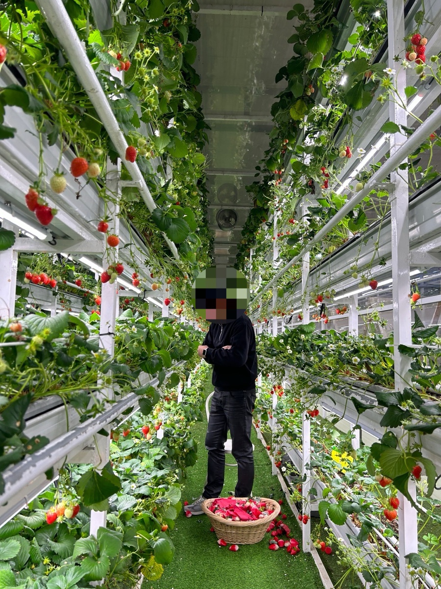 까망깨돈 이미지