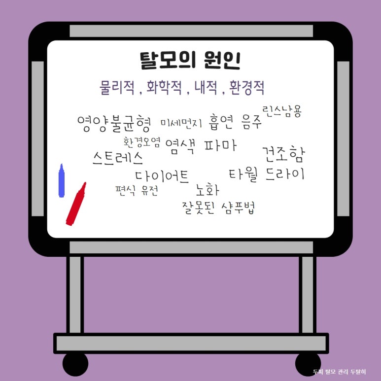 김윤희헤어 이미지