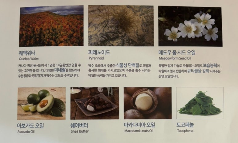 스타일링카케어 이미지
