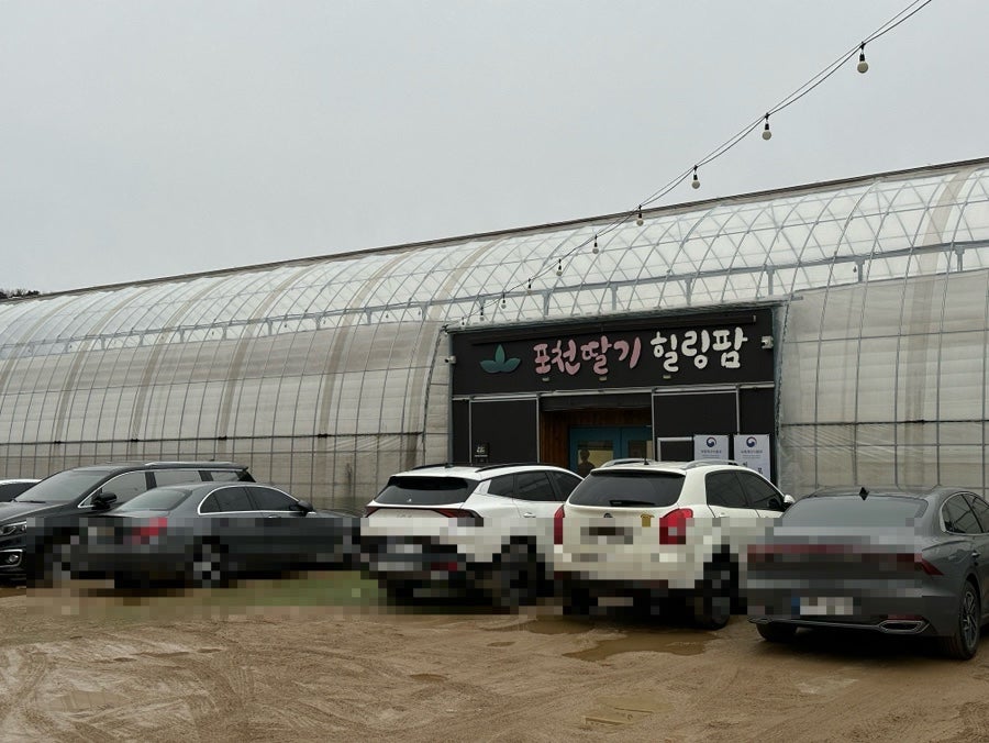 (주)더힐링팜 이미지