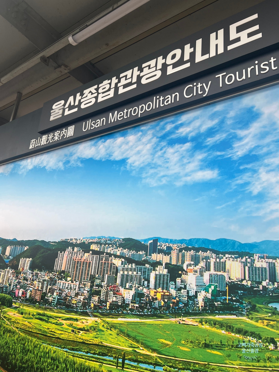 801꾸에로 이미지