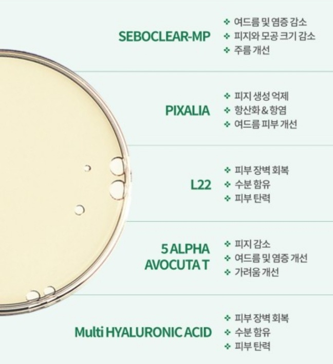 폴라인에스테틱 이미지