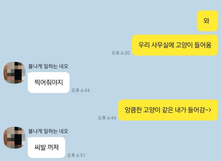 앙큼한고양이 이미지