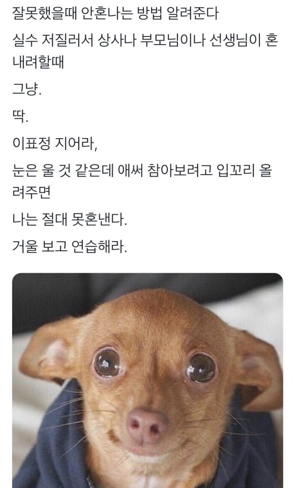 후꾸 이미지