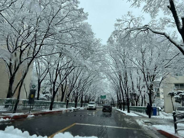 세신유치원 이미지
