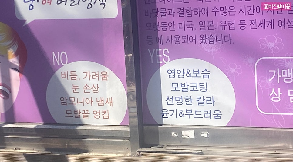 구피염색방 이미지