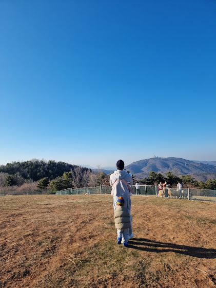 법인울산양떼목장 이미지