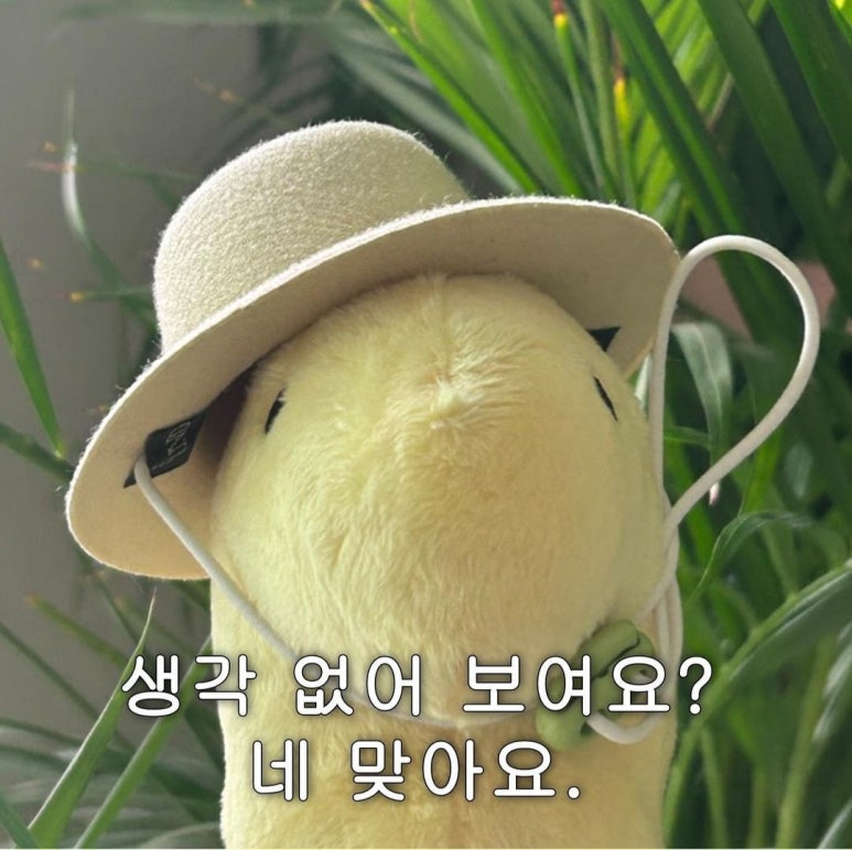 우돈 이미지
