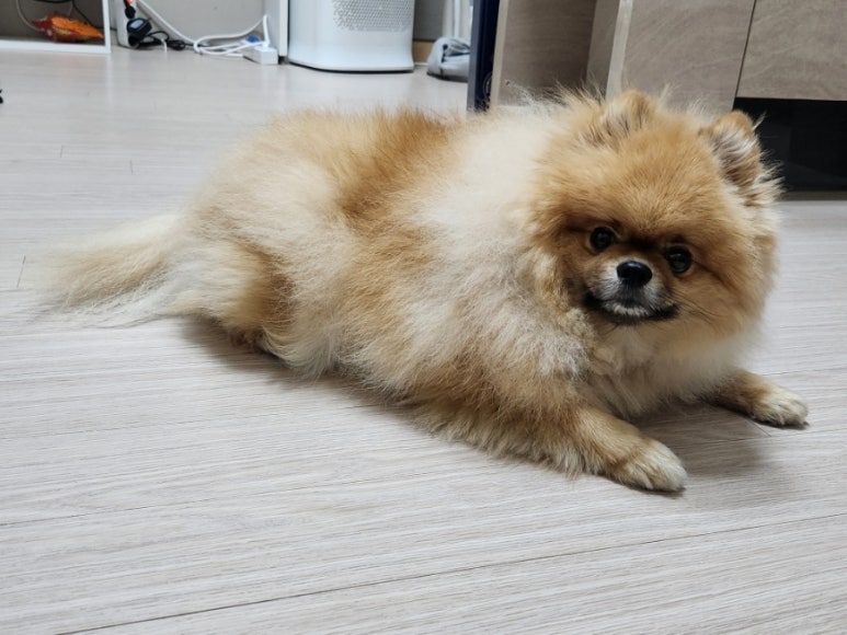찬*이* 이미지