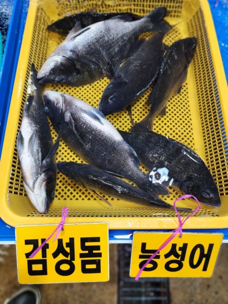 인영수산 이미지