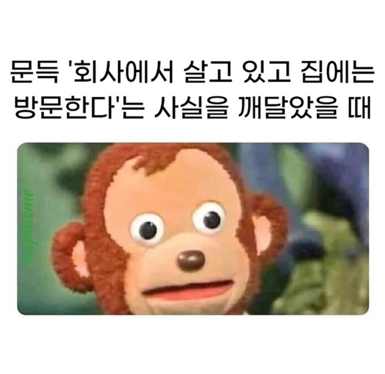 (주)월드코 이미지