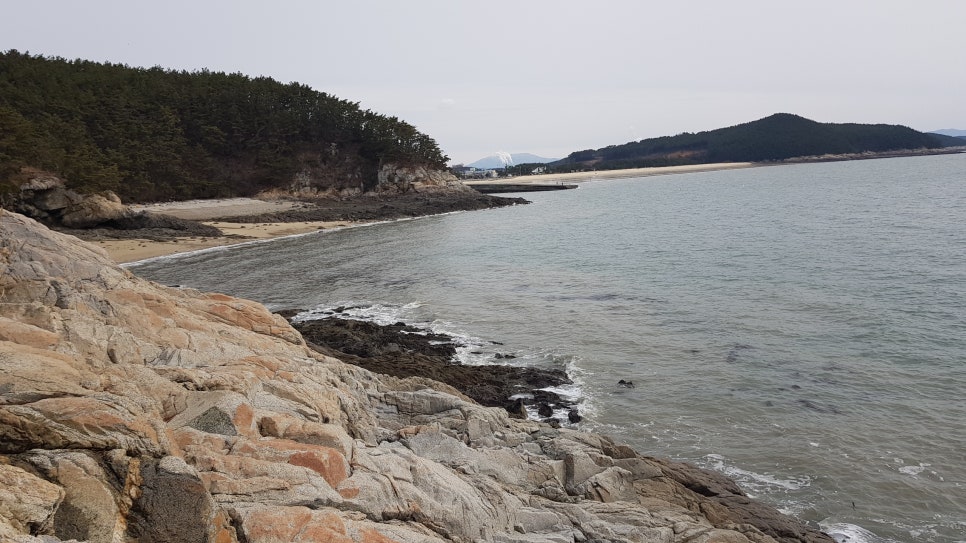 성실주택관리 이미지
