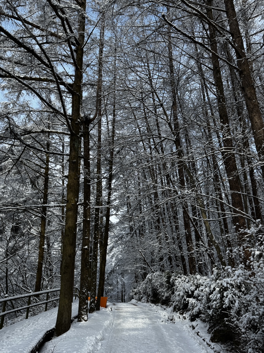 다리안관광지 데크야영장 이미지