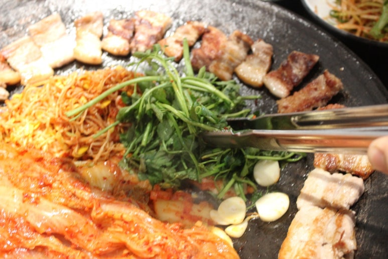 솥고집파주 이미지