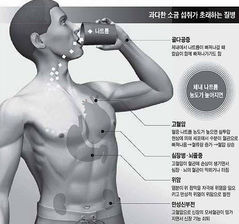 팀스톤짐 이미지