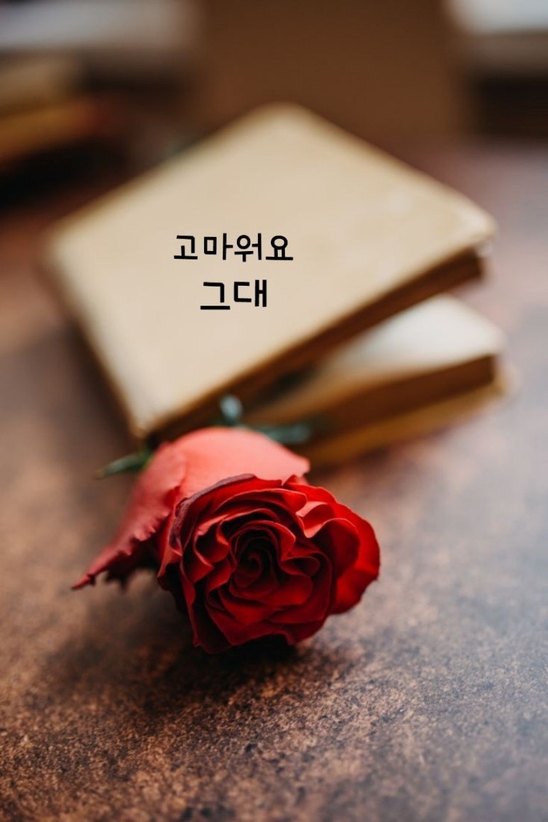 행복법무사 이미지