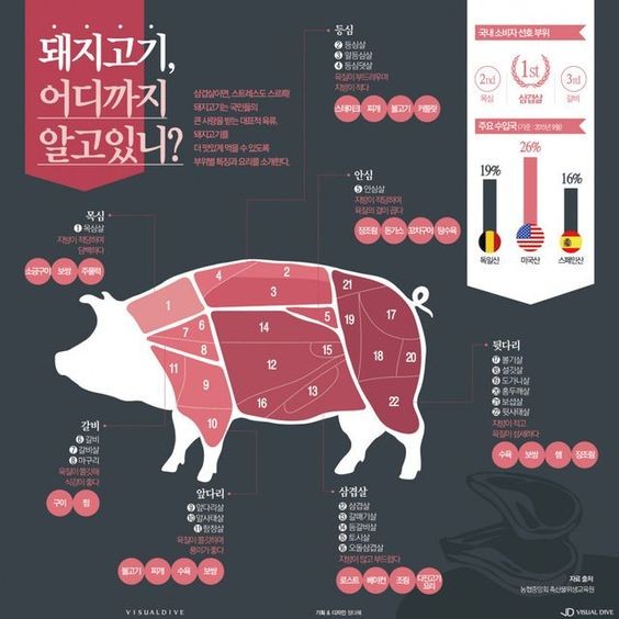 돼지에서 소까지 이미지