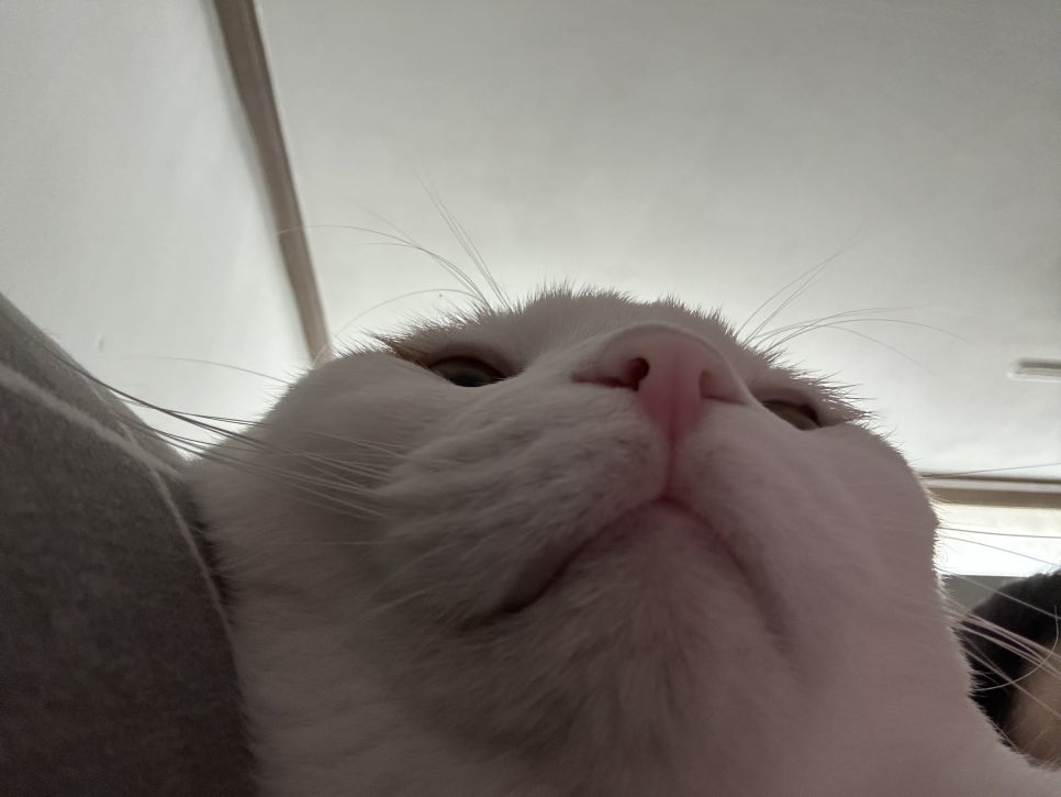 호호포차 산본점 이미지